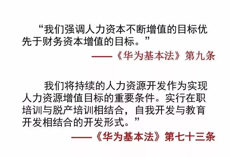 企业,培训中心,美团,领袖,学习系统,建立,华为基本法