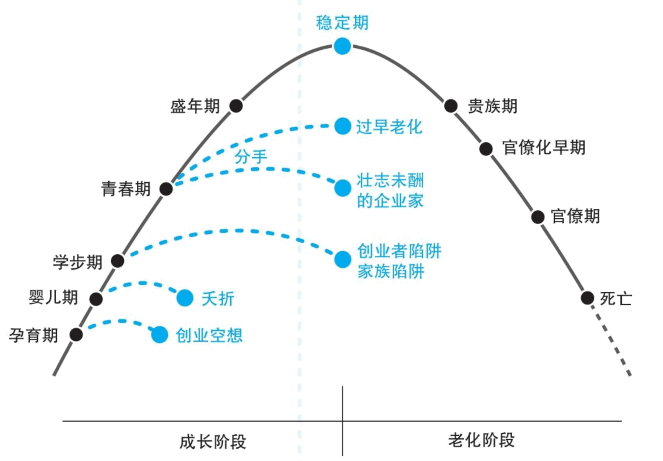 为何企业要快速找到增长第二曲线?