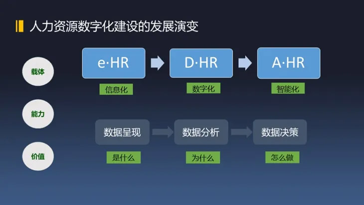 孙平,人力资源,管理,数字化